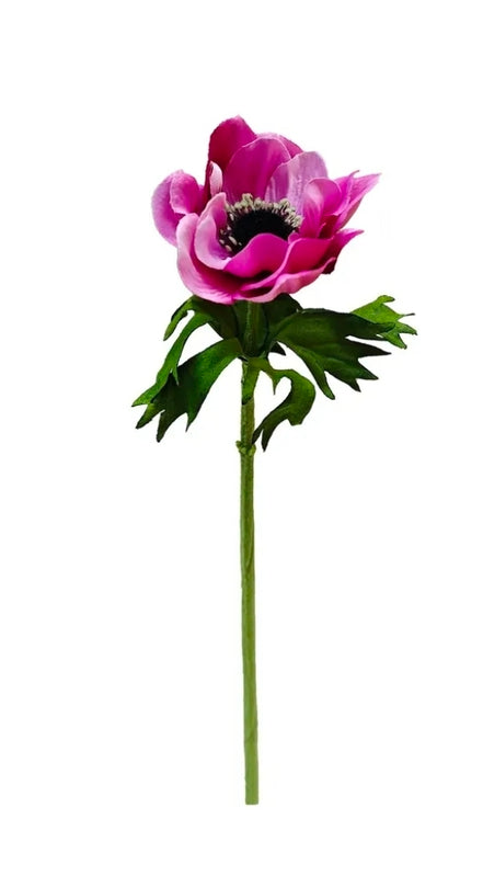 Anemone Deep Pink