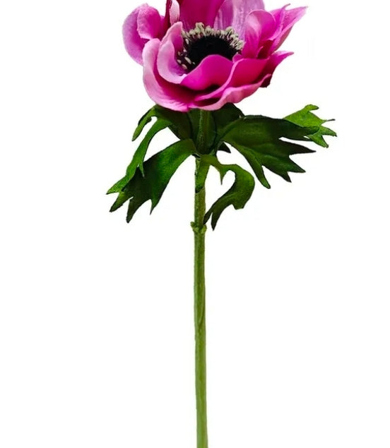 Anemone Deep Pink