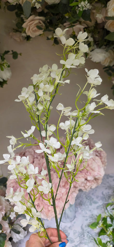 Jasmine - White