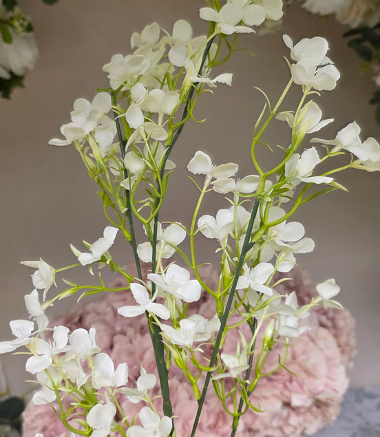 Jasmine - White