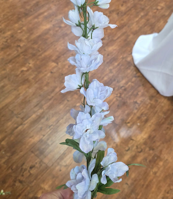 Delphinium - Pale Blue