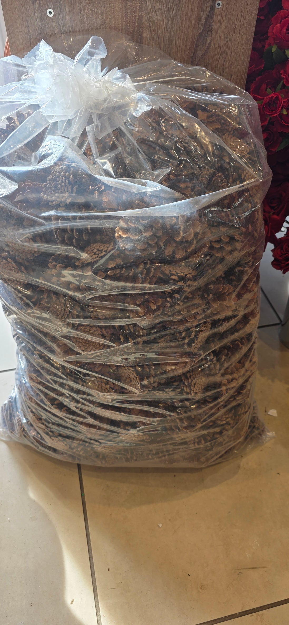 10kg Fircone