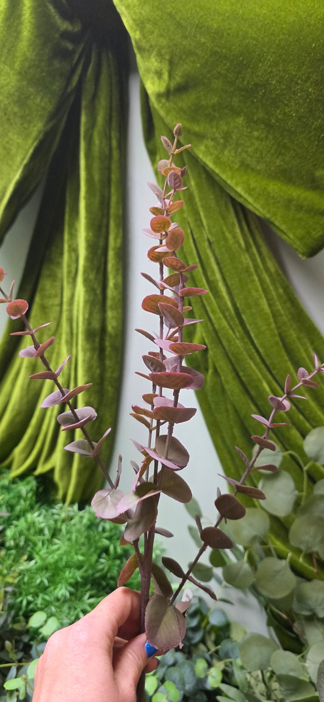 Eucalyptus Medium Burgundy