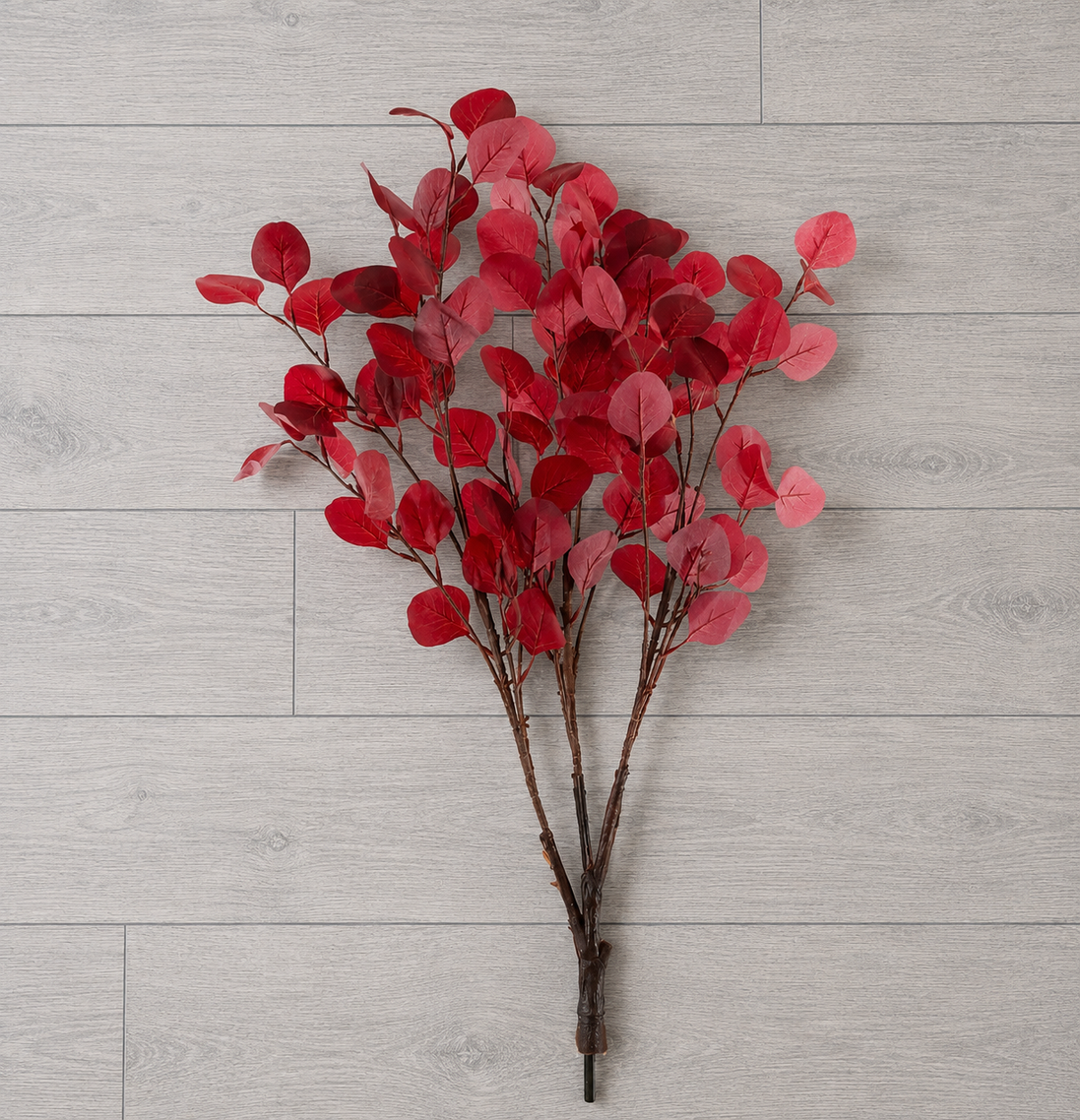 Eucalyptus Branch - Red
