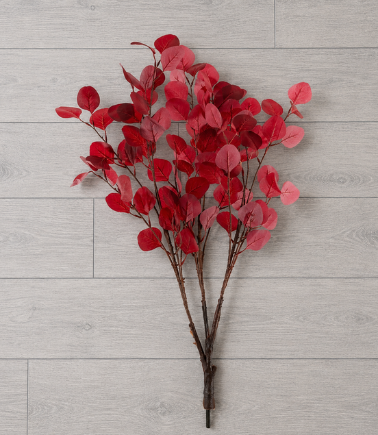 Eucalyptus Branch - Red