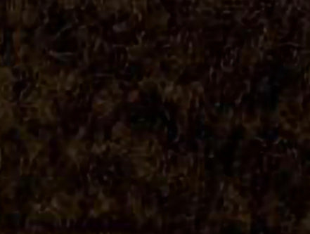 Crushed Velvet Backdrop Drapes