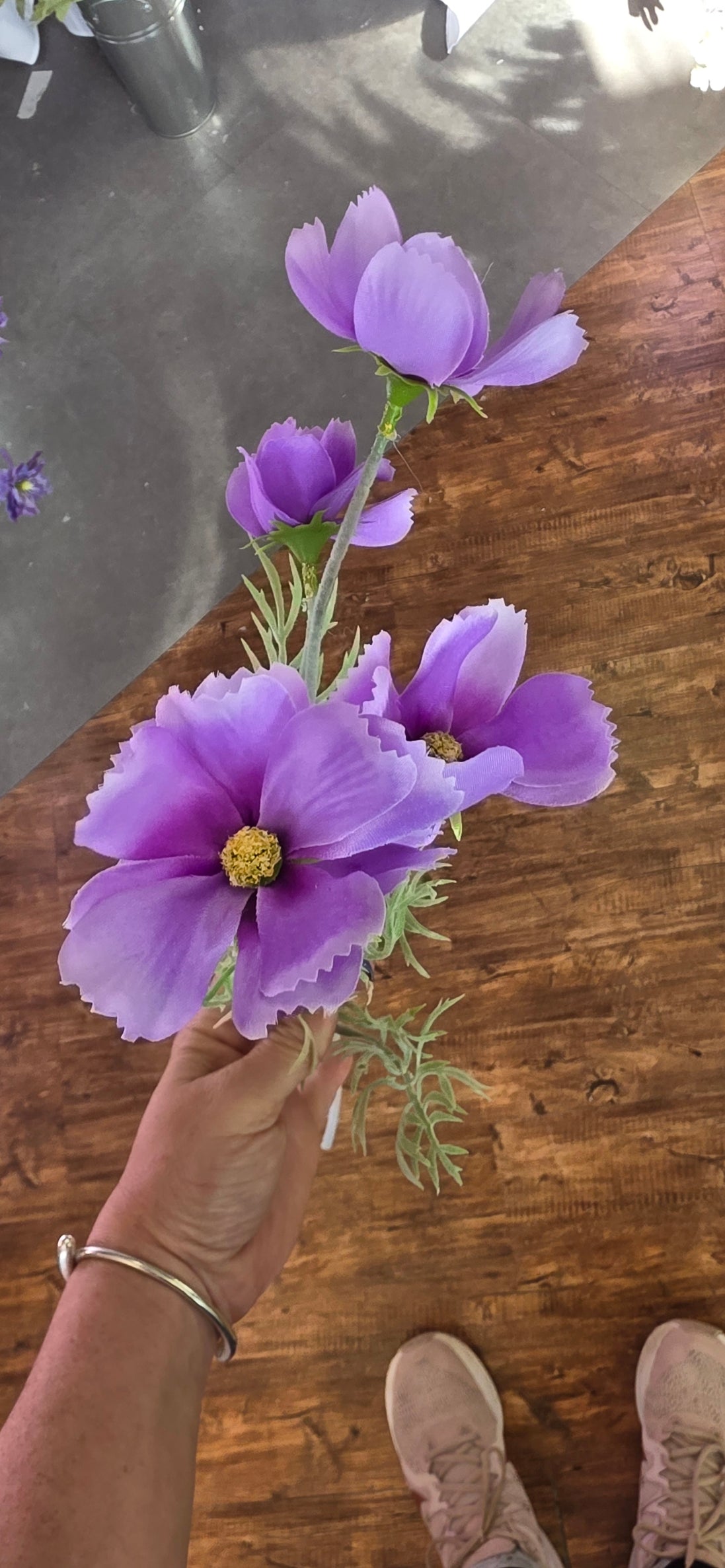 Cosmos - Purple