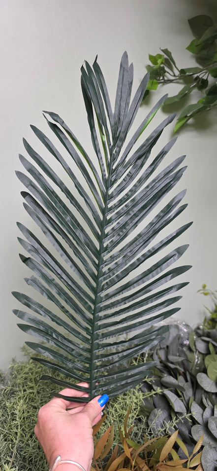 Palm Leaf