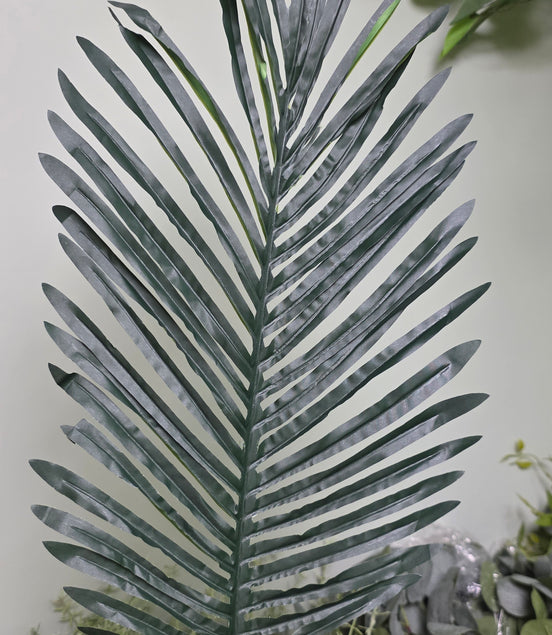 Palm Leaf