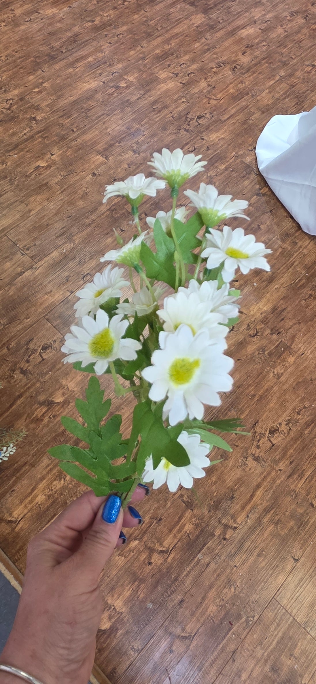 Daisy Spray