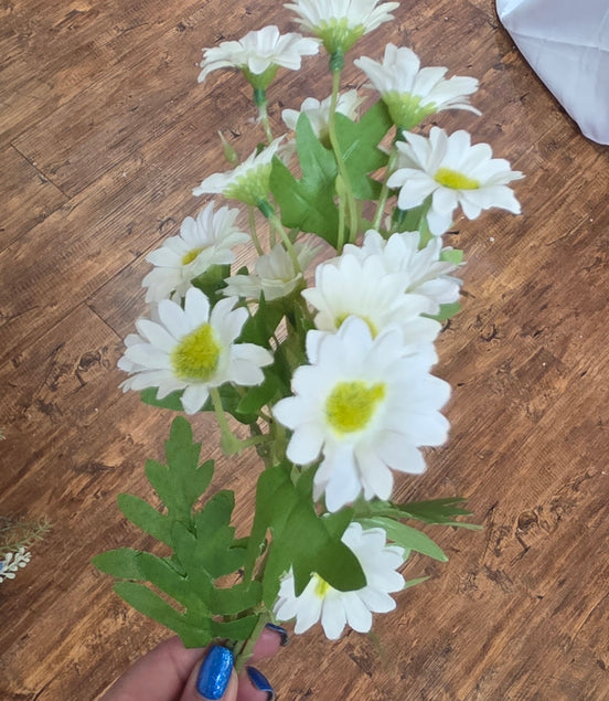Daisy Spray