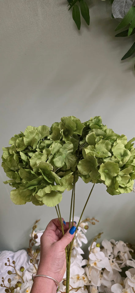 Hydrangea Bunch Green