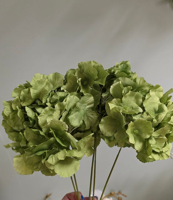 Hydrangea Bunch Green