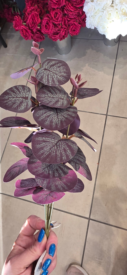 Eucalyptus Short Burgundy
