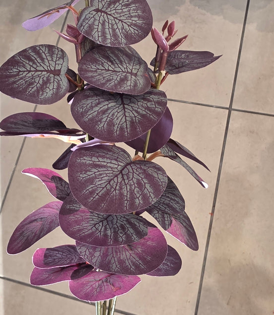 Eucalyptus Short Burgundy