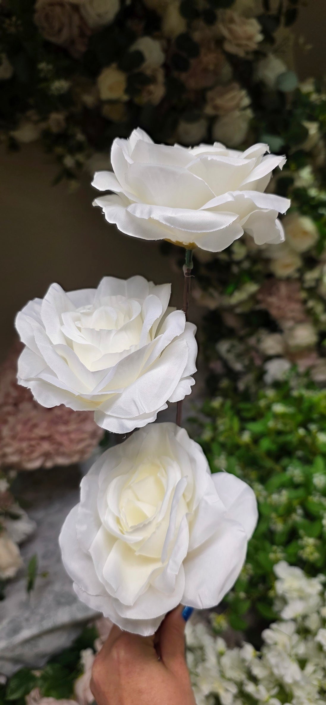 Garden Rose Trio - Ivory