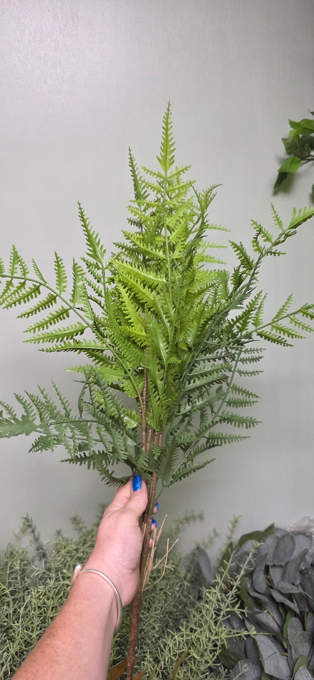Tree Fern Bunch