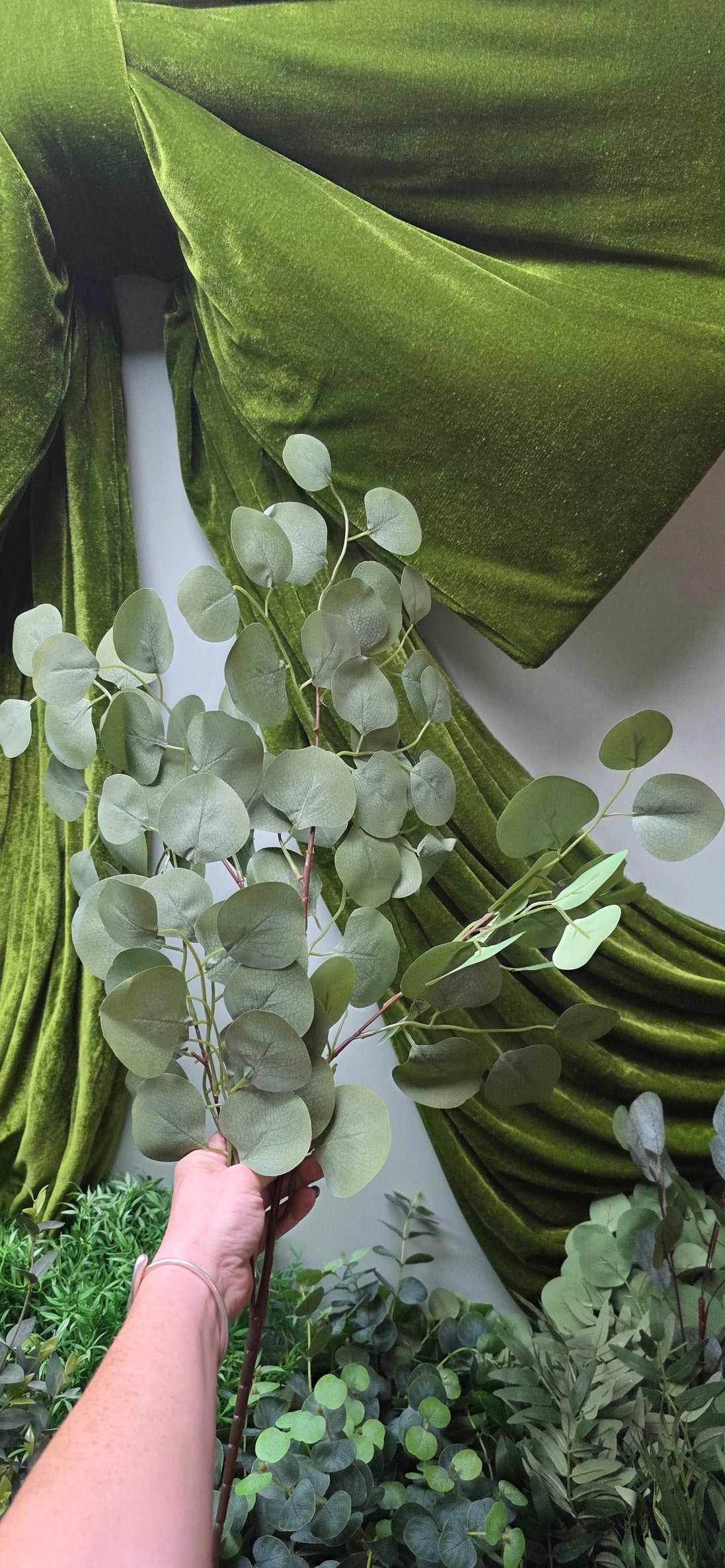 Eucalyptus Silver Dollar Spray