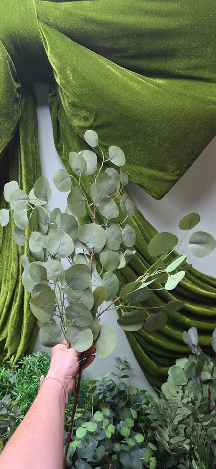 Eucalyptus Silver Dollar Spray