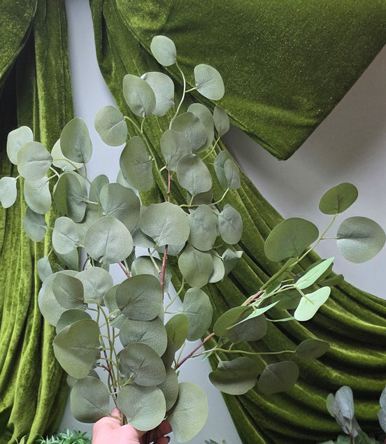 Eucalyptus Silver Dollar Spray