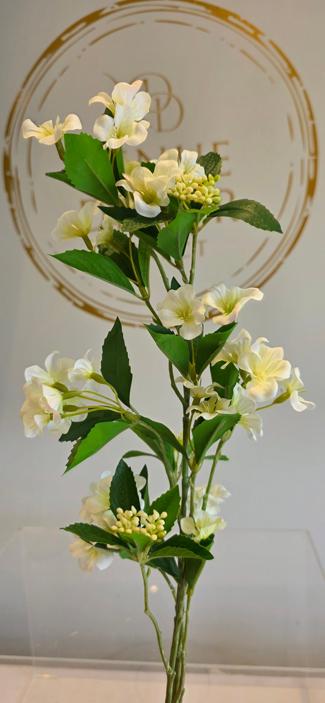 Weigela