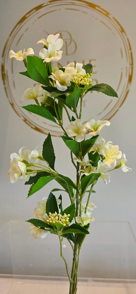 Weigela