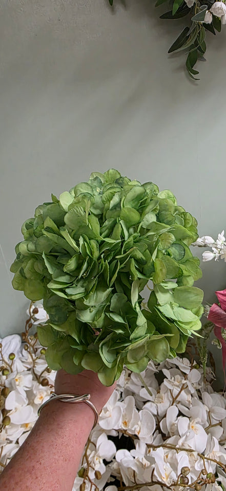 Hydrangea - Green