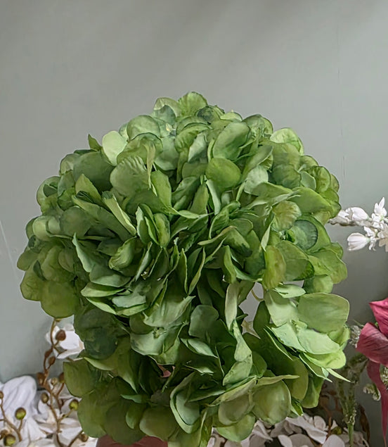 Hydrangea - Green