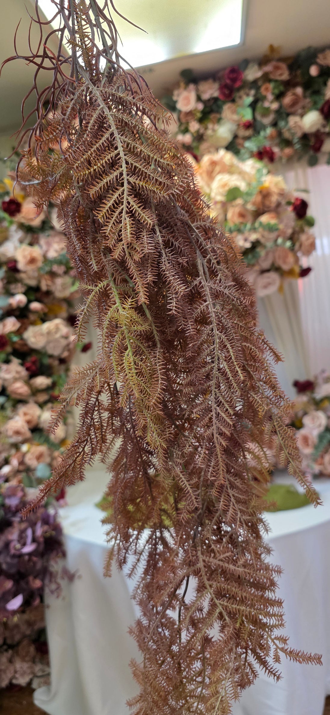 Hanging Fern - Brown Autumn