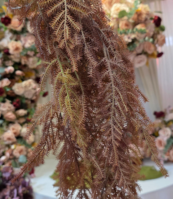 Hanging Fern - Brown Autumn