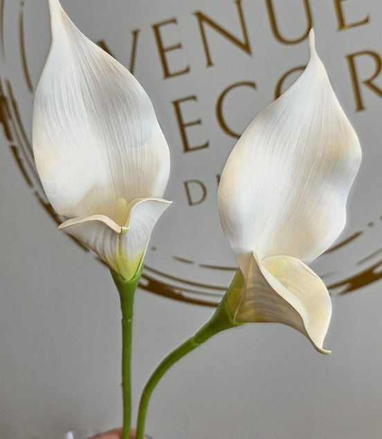 Calla Lily ivory - Large