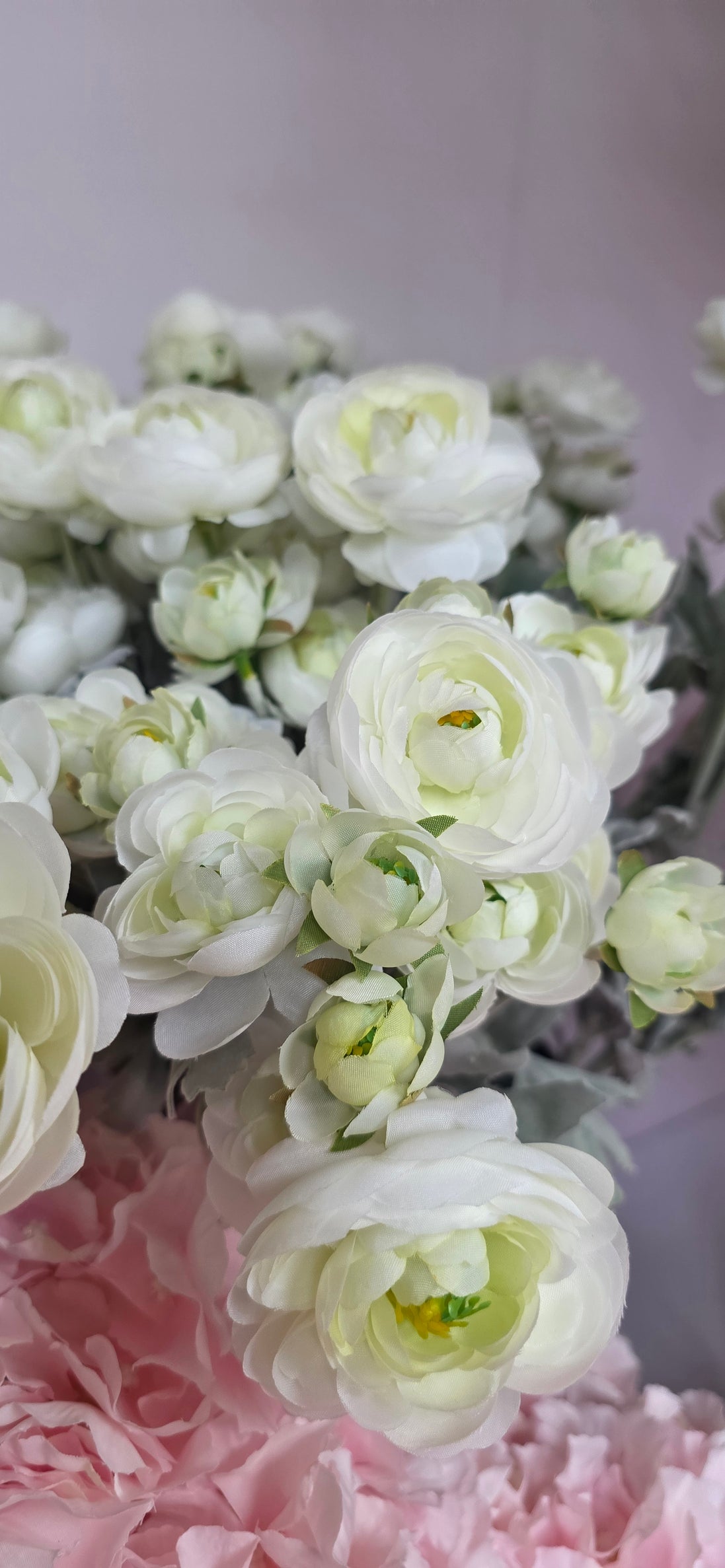 Ranunculus 6 Heads - white/green