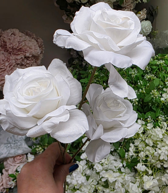 Rose Trio - white