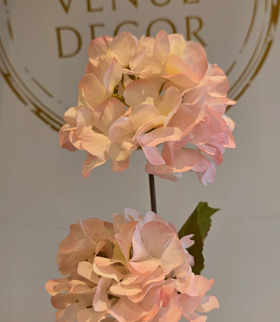 Hydrangea - 2 Headed Pink