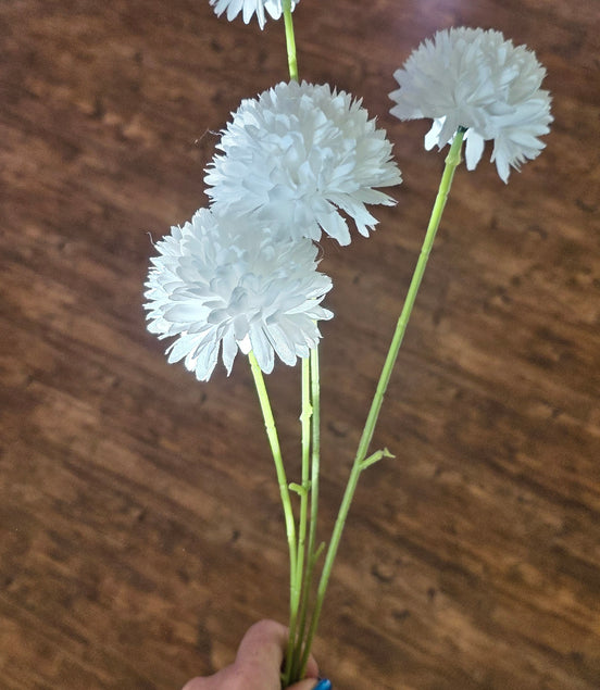 Chrysanthemum Pom pom Spray - White