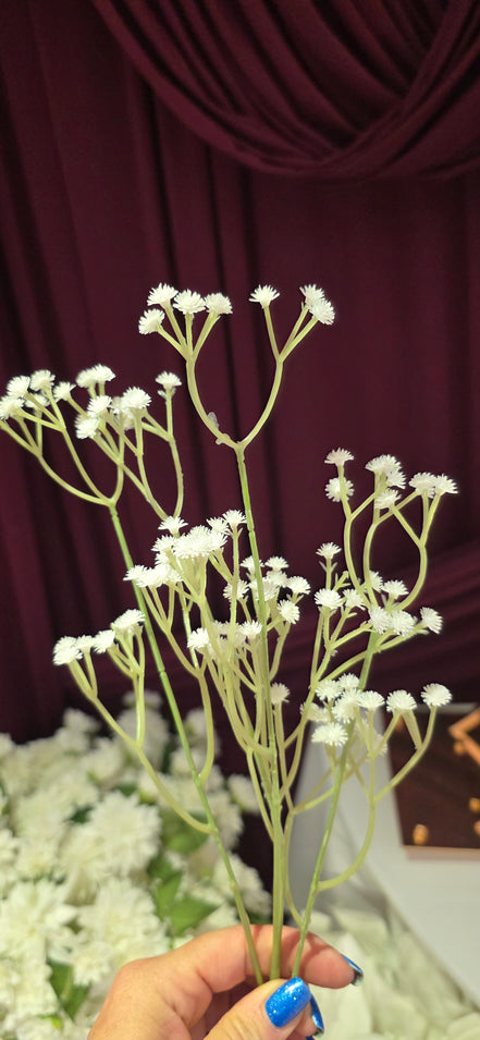 Gypsophila - Standard