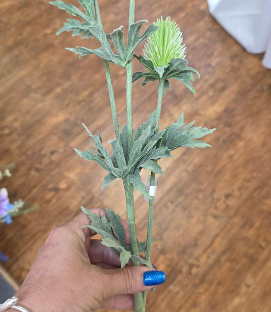 Thistle - white