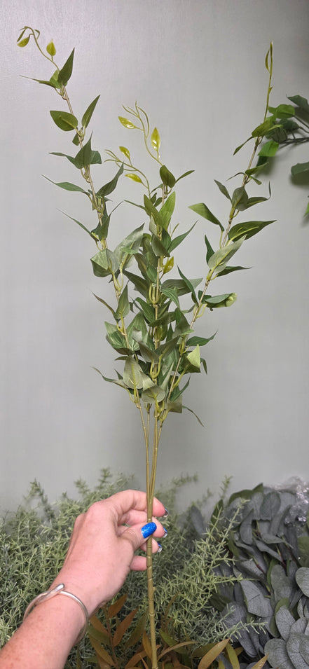 Ruscus Bush - Tall