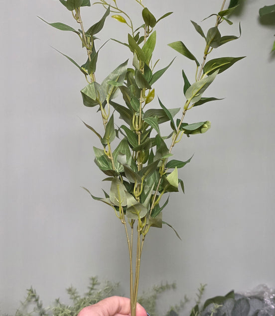 Ruscus Bush - Tall