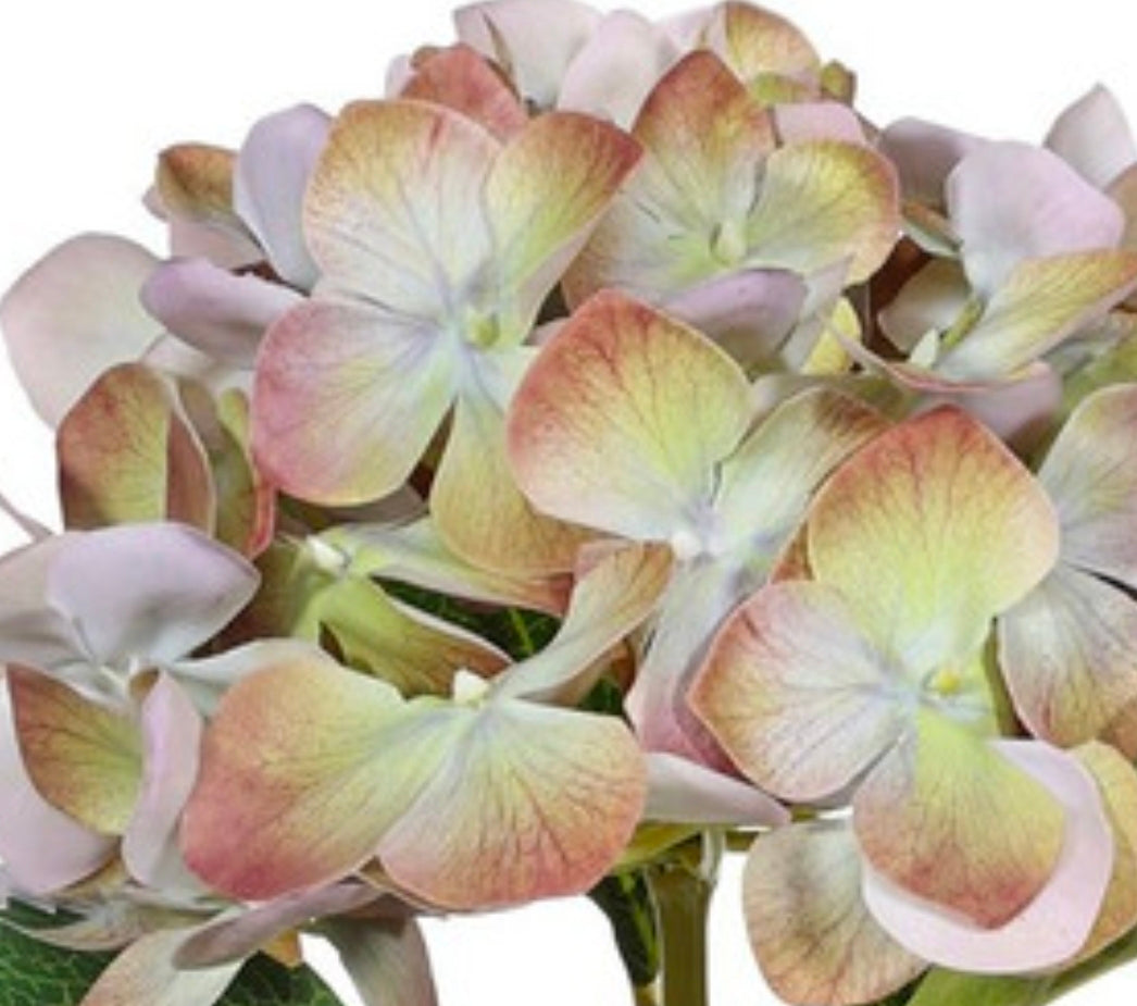 Hydrangea Real Touch purple/lilac/classic