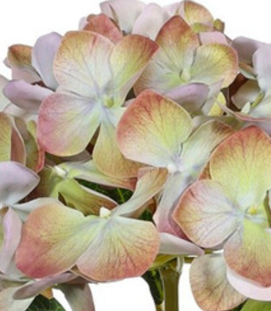 Hydrangea Real Touch purple/lilac/classic