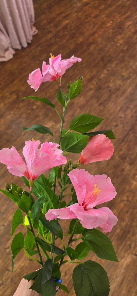 Hibiscus - Pink