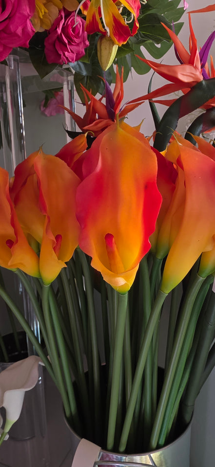 Calla Lily Orange