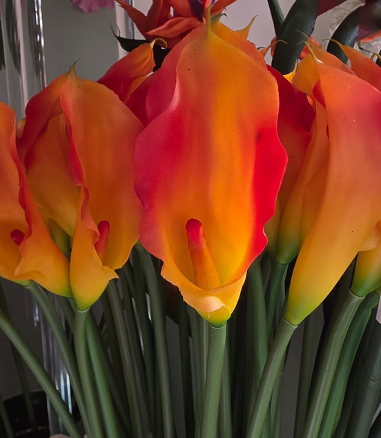 Calla Lily Orange
