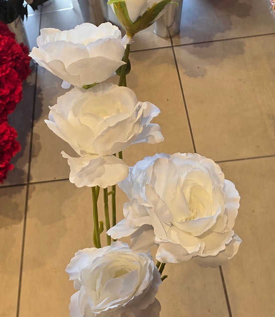 Open Spray Roses - white