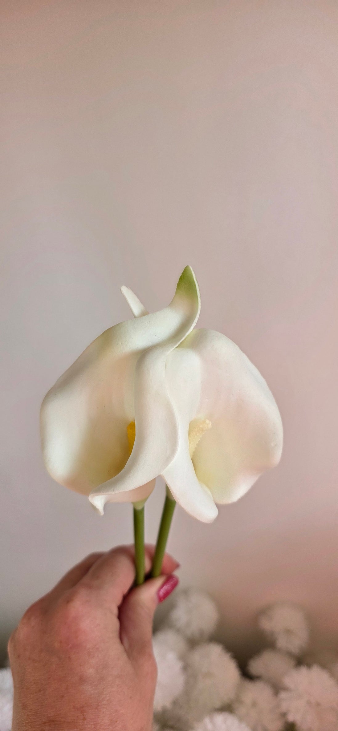 Calla Lily White - Small