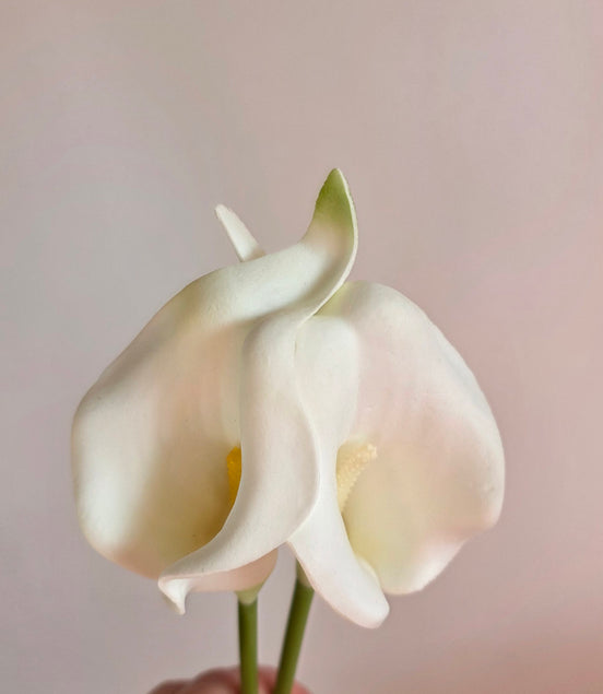 Calla Lily White - Small
